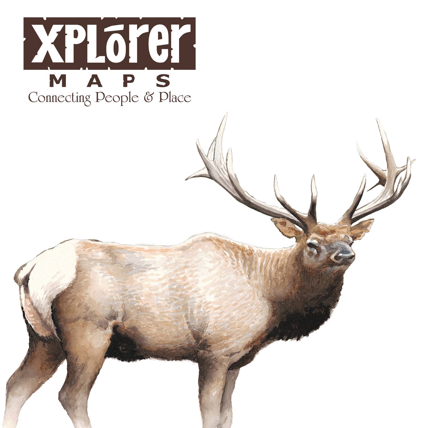 Montana -  Name Drop ELK Notecard