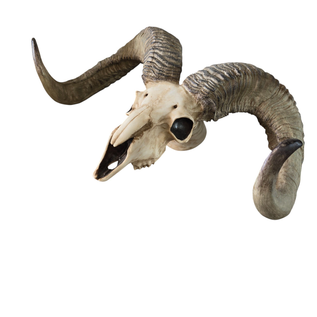 Cast Resin Ram Skull Wall Hanging