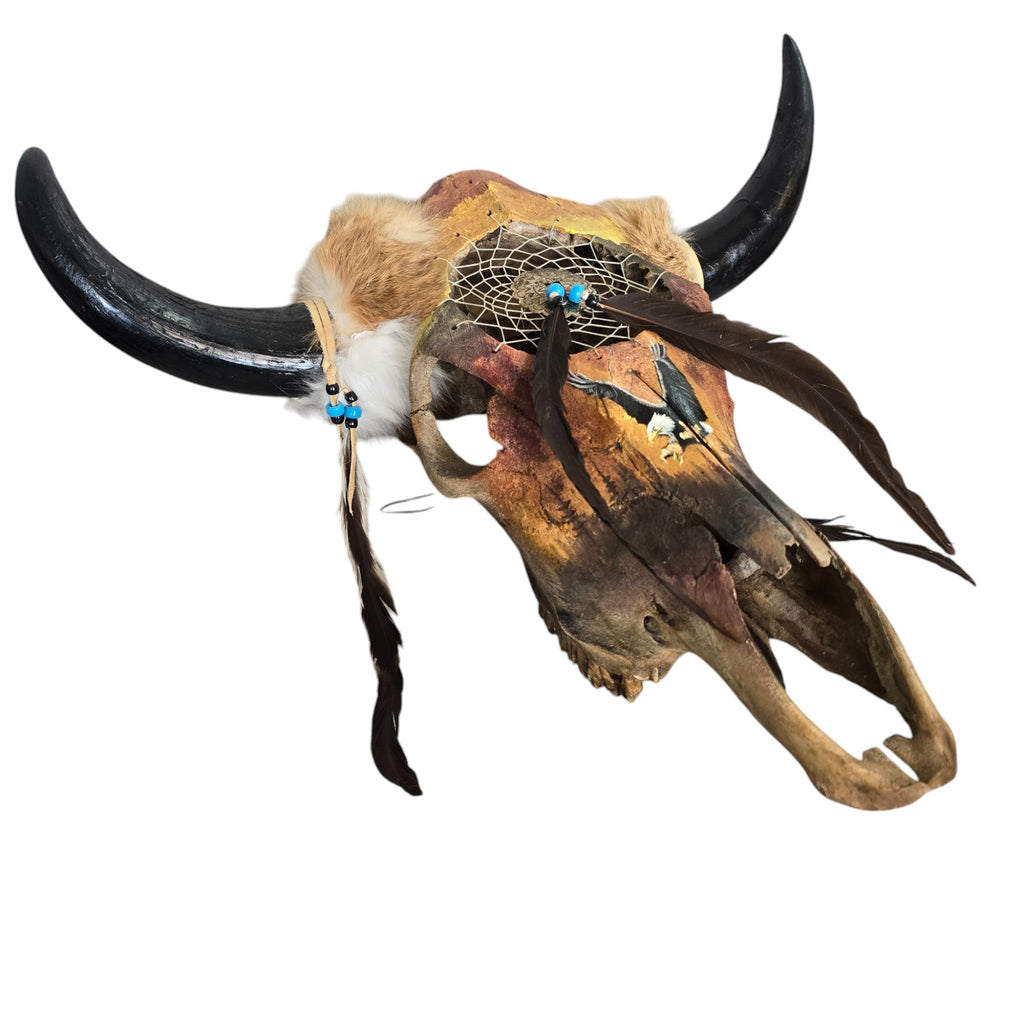 Catching Dreams; Hand Painted Cow Skull Featuring an Interwoven Dream Catcher and Eagle