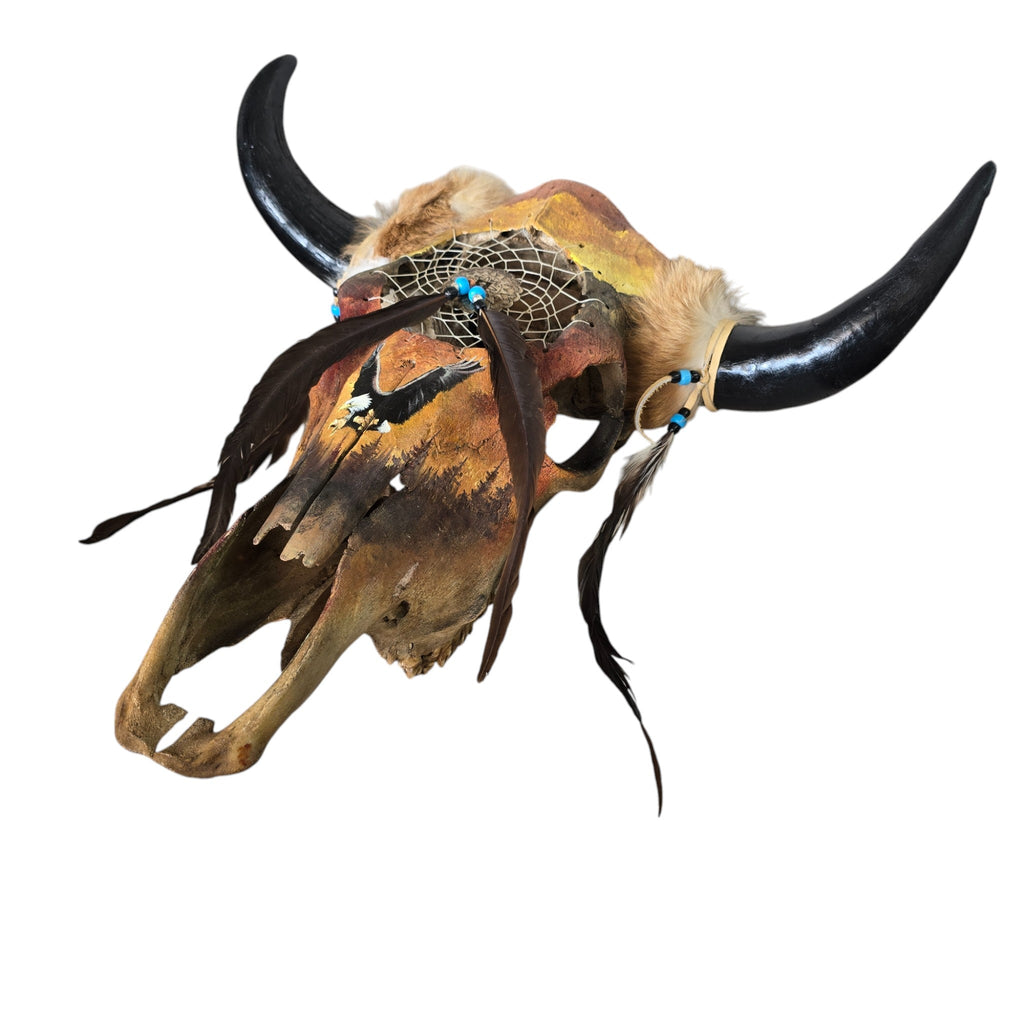 Catching Dreams; Hand Painted Cow Skull Featuring an Interwoven Dream Catcher and Eagle
