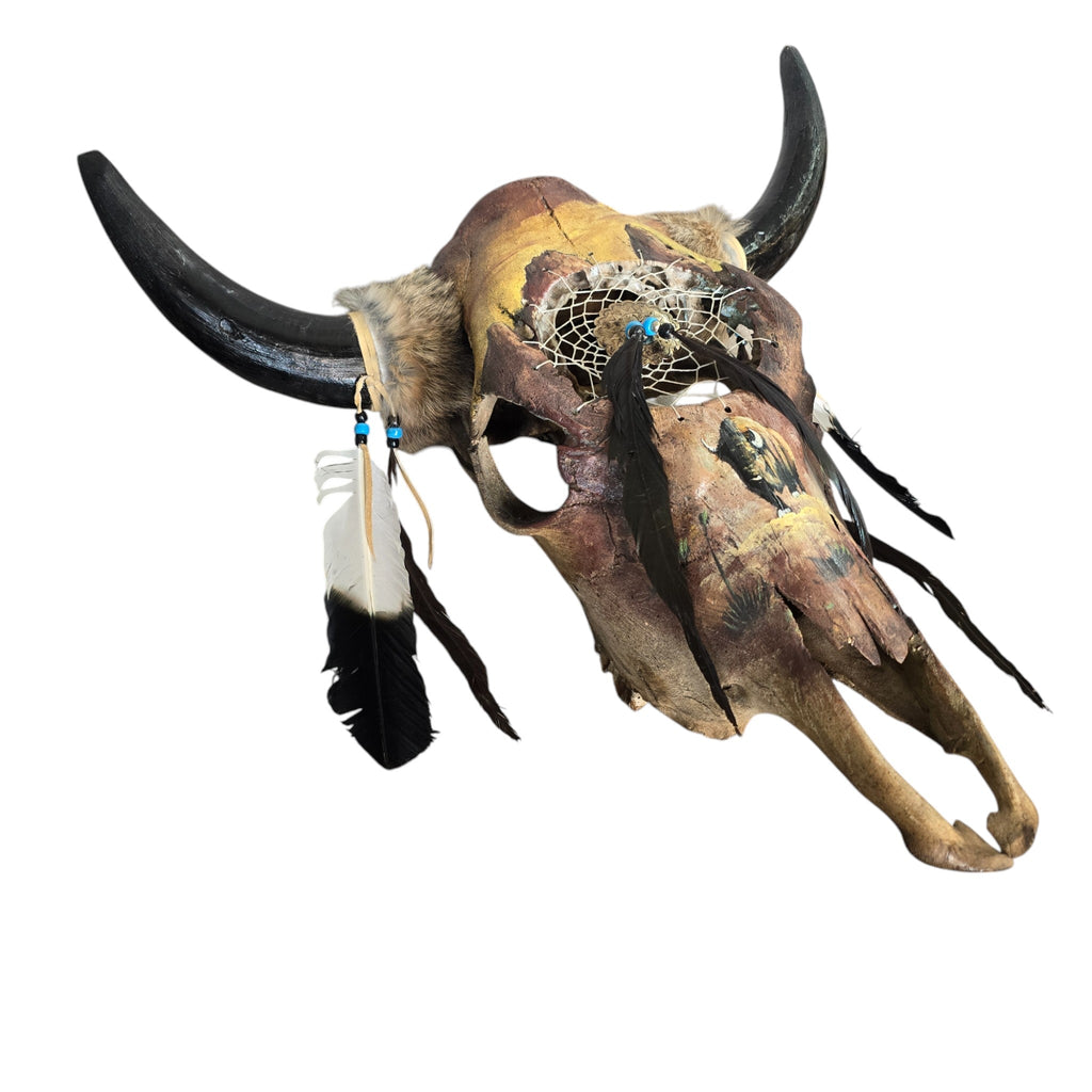 Dreams of the Bison; Hand Painted Cow Skull Featuring a Bull Buffalo and Interwoven Dream Catcher
