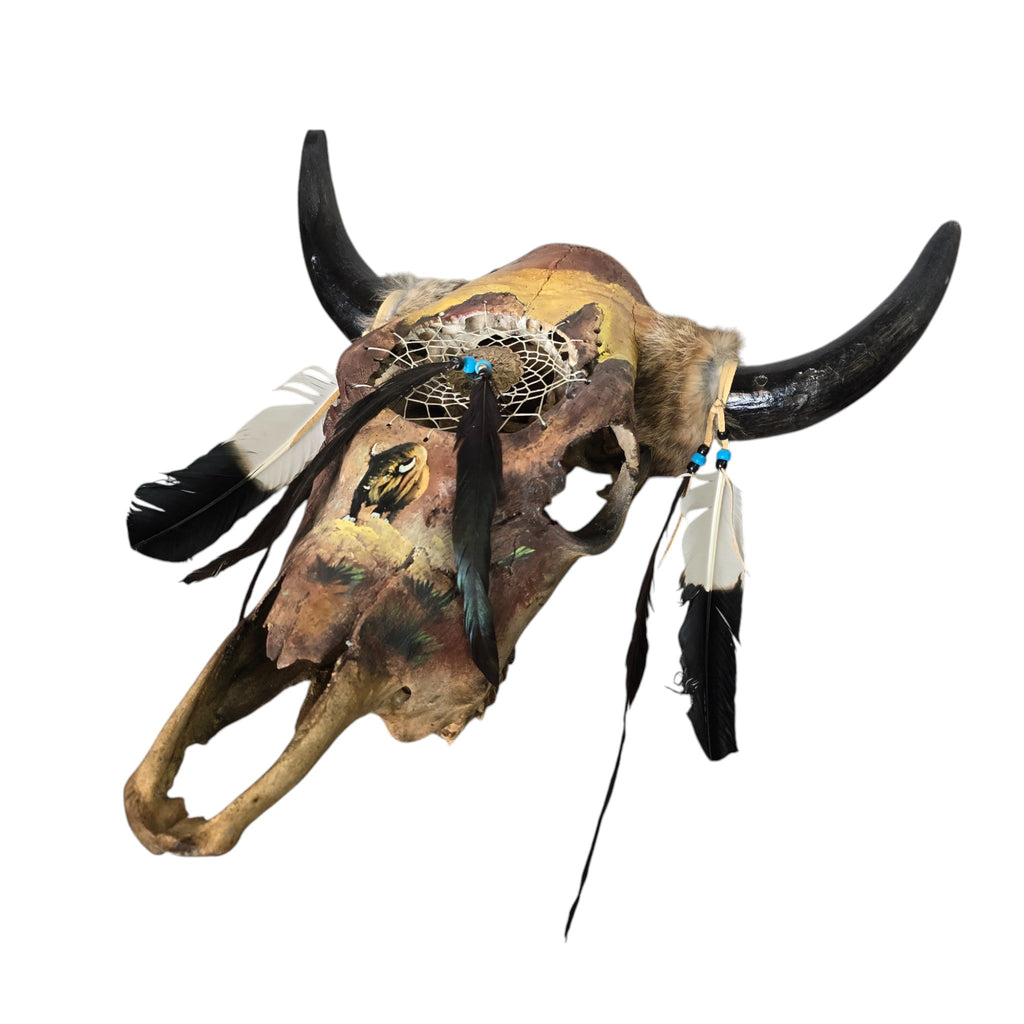 Dreams of the Bison; Hand Painted Cow Skull Featuring a Bull Buffalo and Interwoven Dream Catcher
