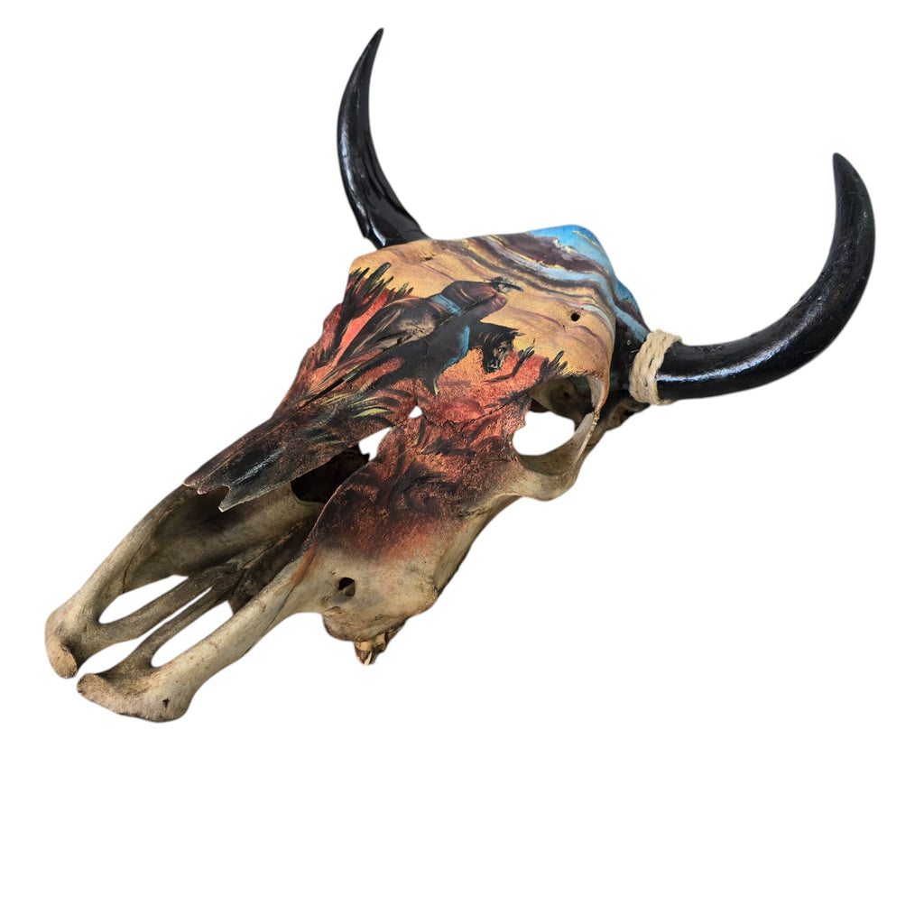 Sunset Cowboy; Hand Painted Cow Skull