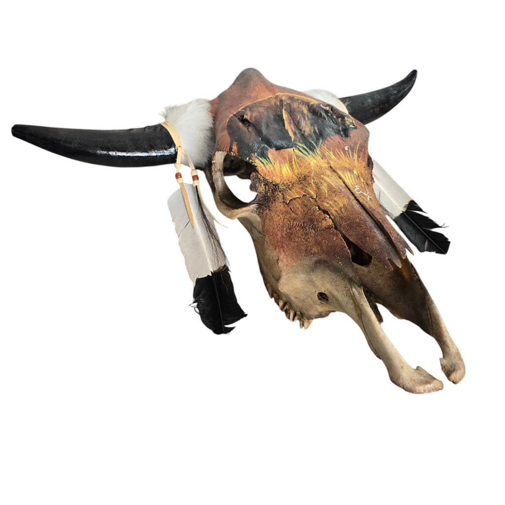 Buffalo on the Prairie; Hand Painted Cow Skull