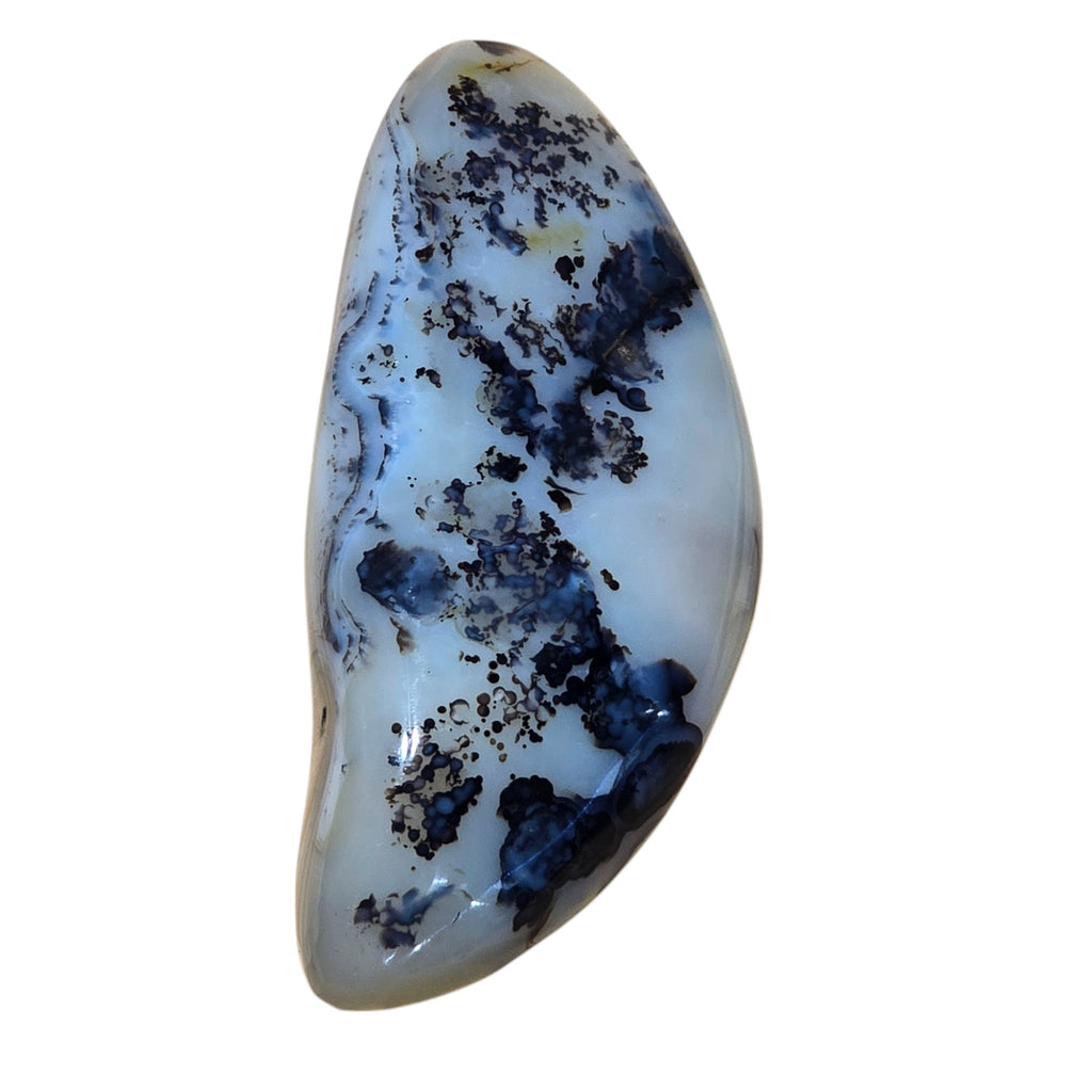 Polished Montana Moss Agate