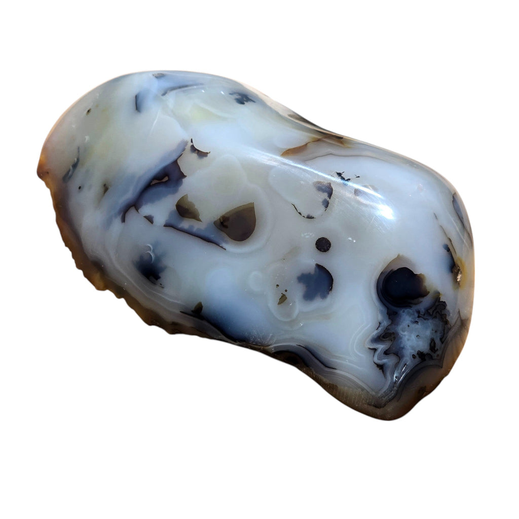 Polished Montana Moss Agate