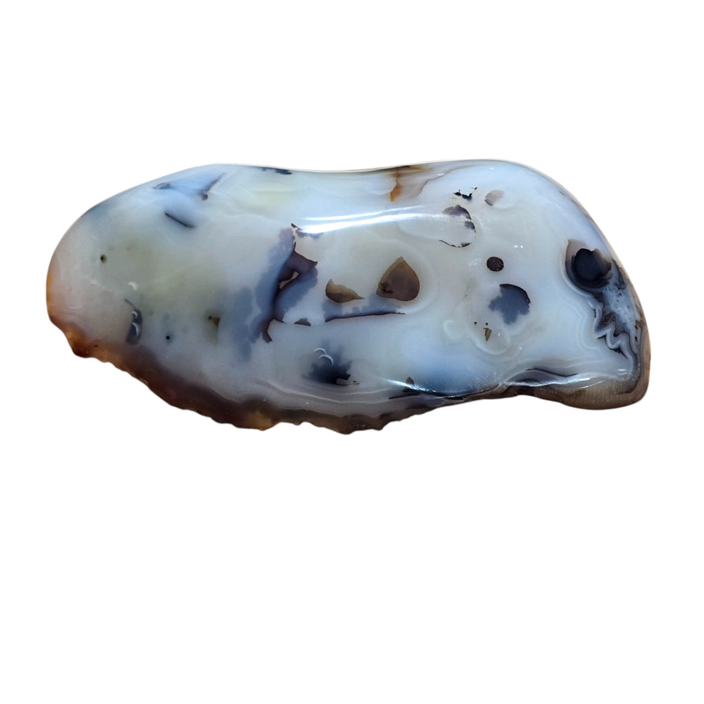 Polished Montana Moss Agate