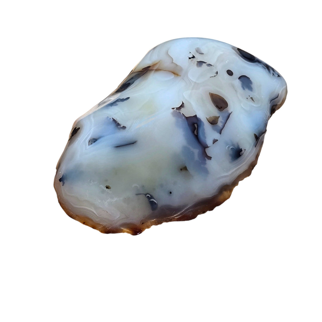 Polished Montana Moss Agate
