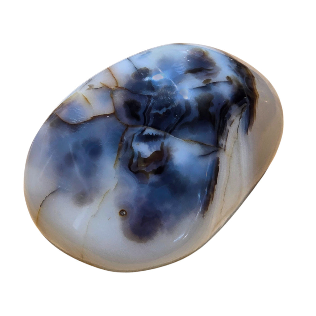 Polished Montana Moss Agate