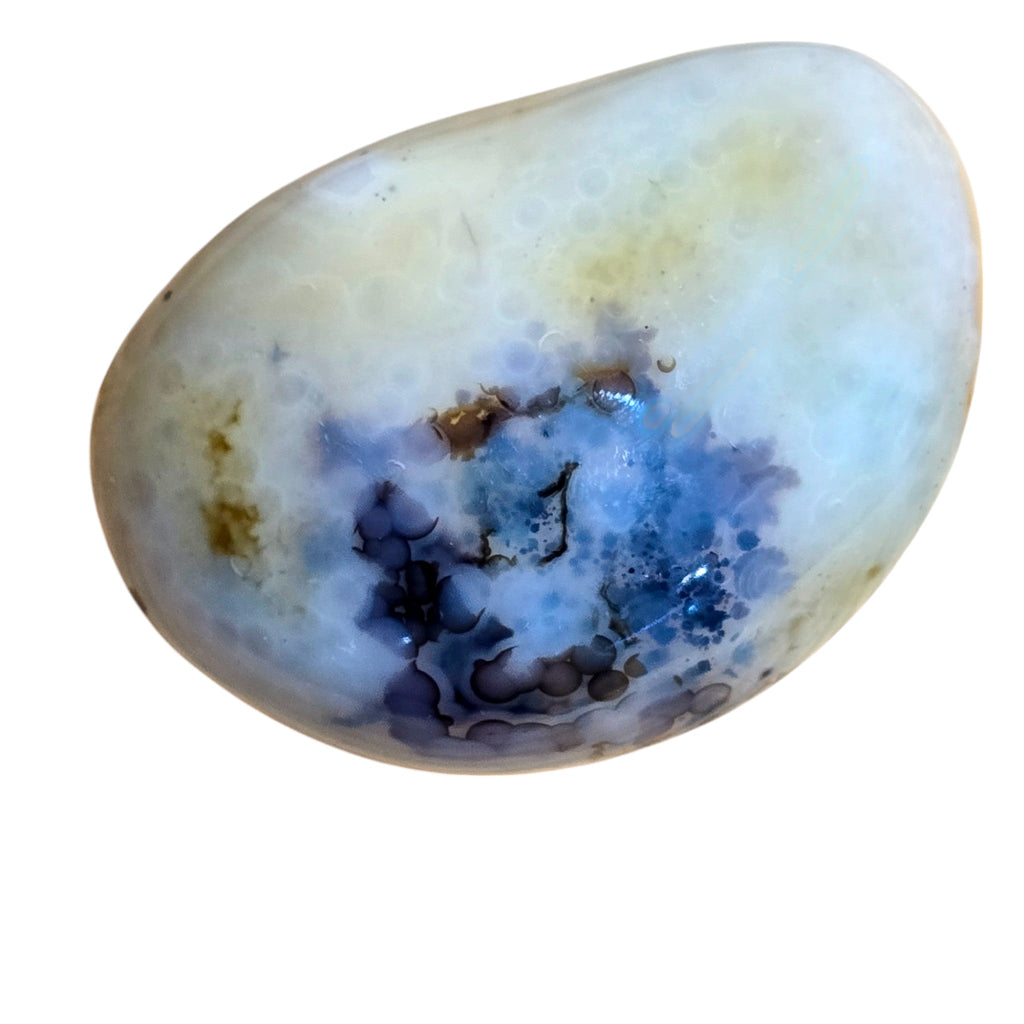 Polished Montana Moss Agate