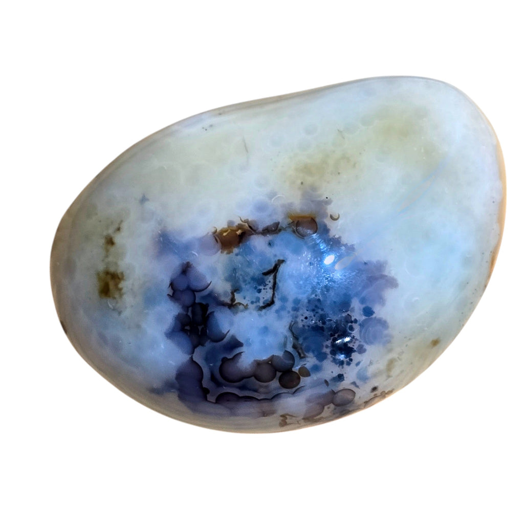Polished Montana Moss Agate