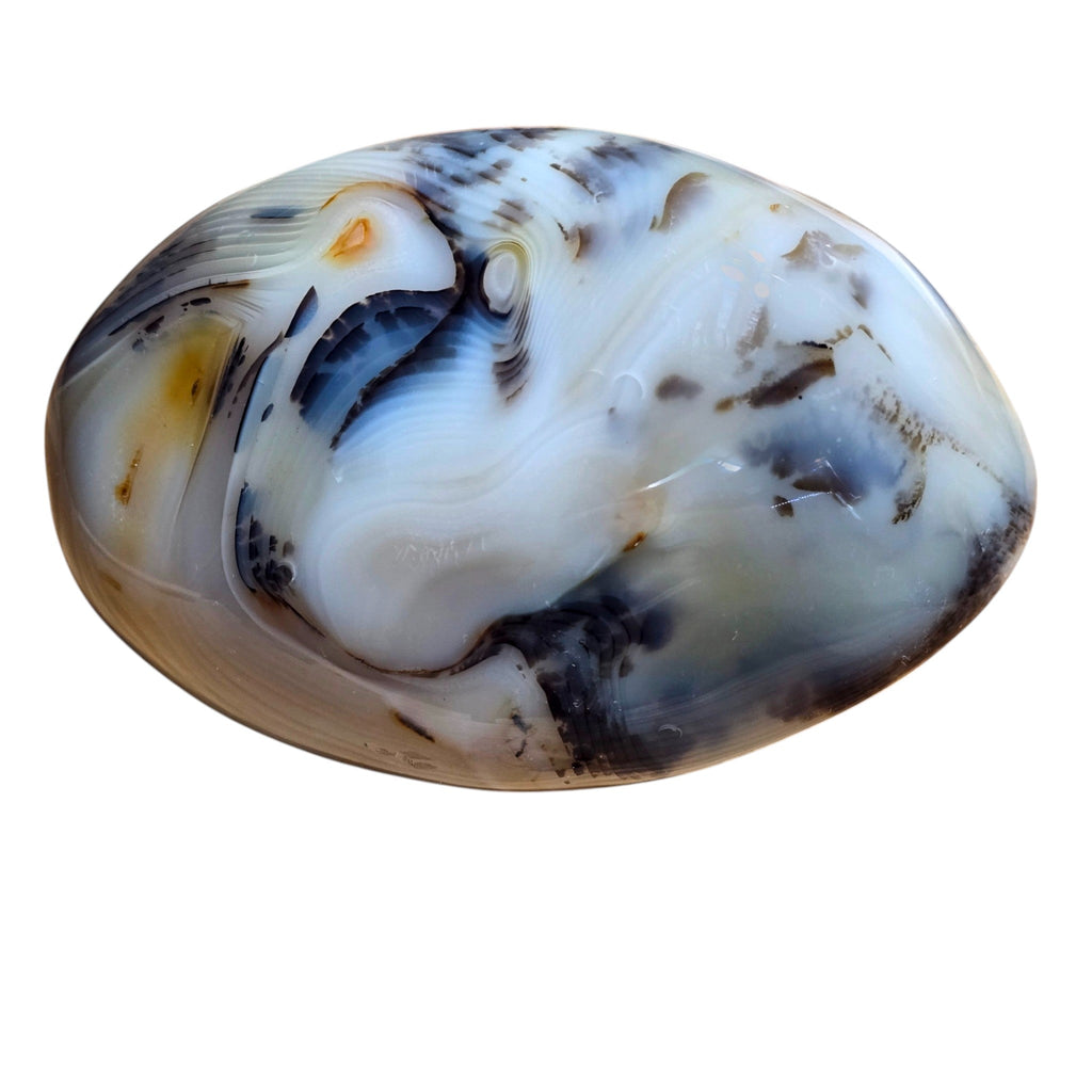 Large Polished Montana Moss Agate