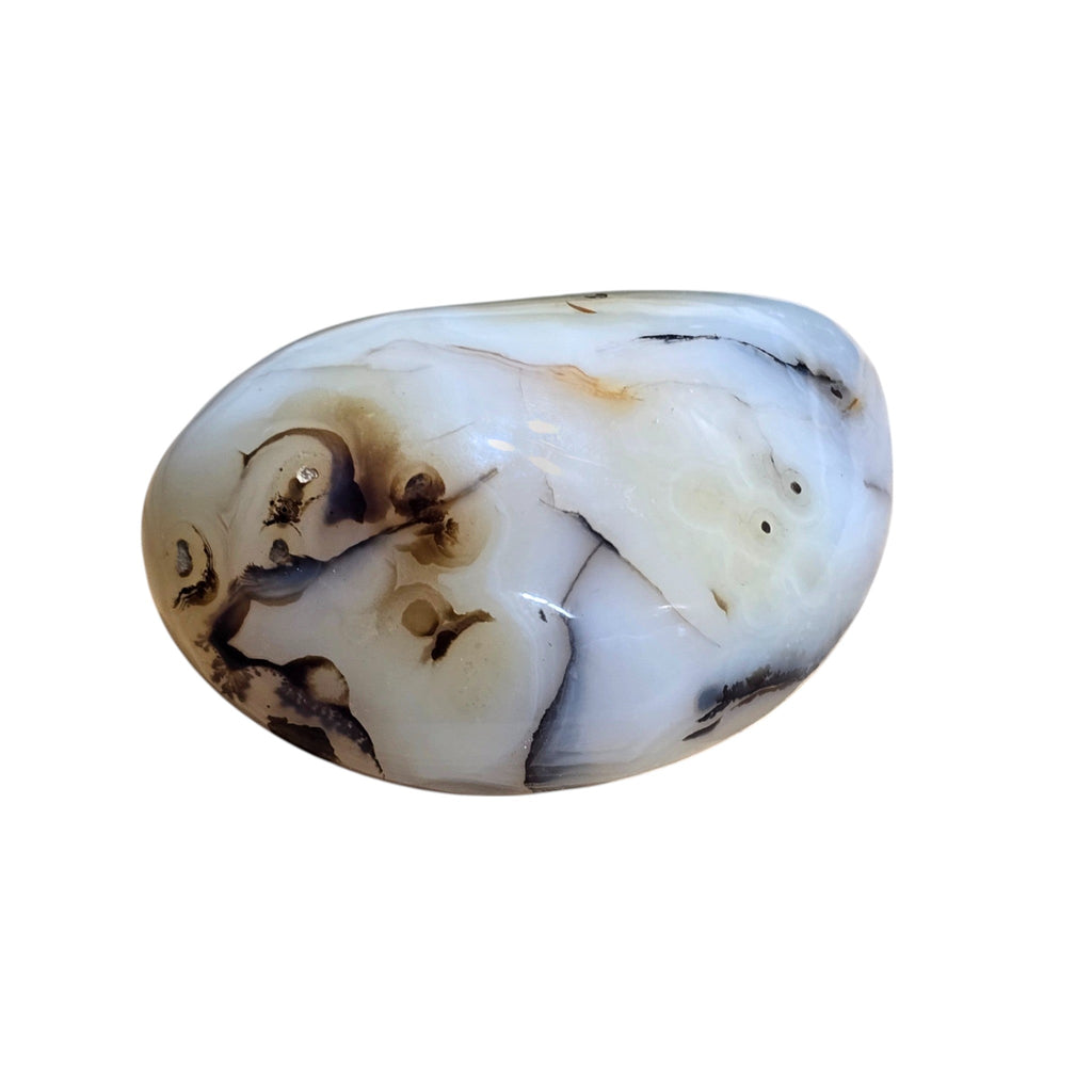 Polished Montana Moss Agate