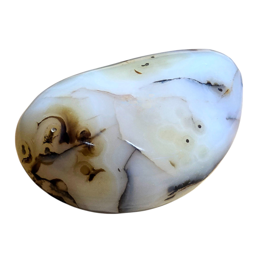 Polished Montana Moss Agate