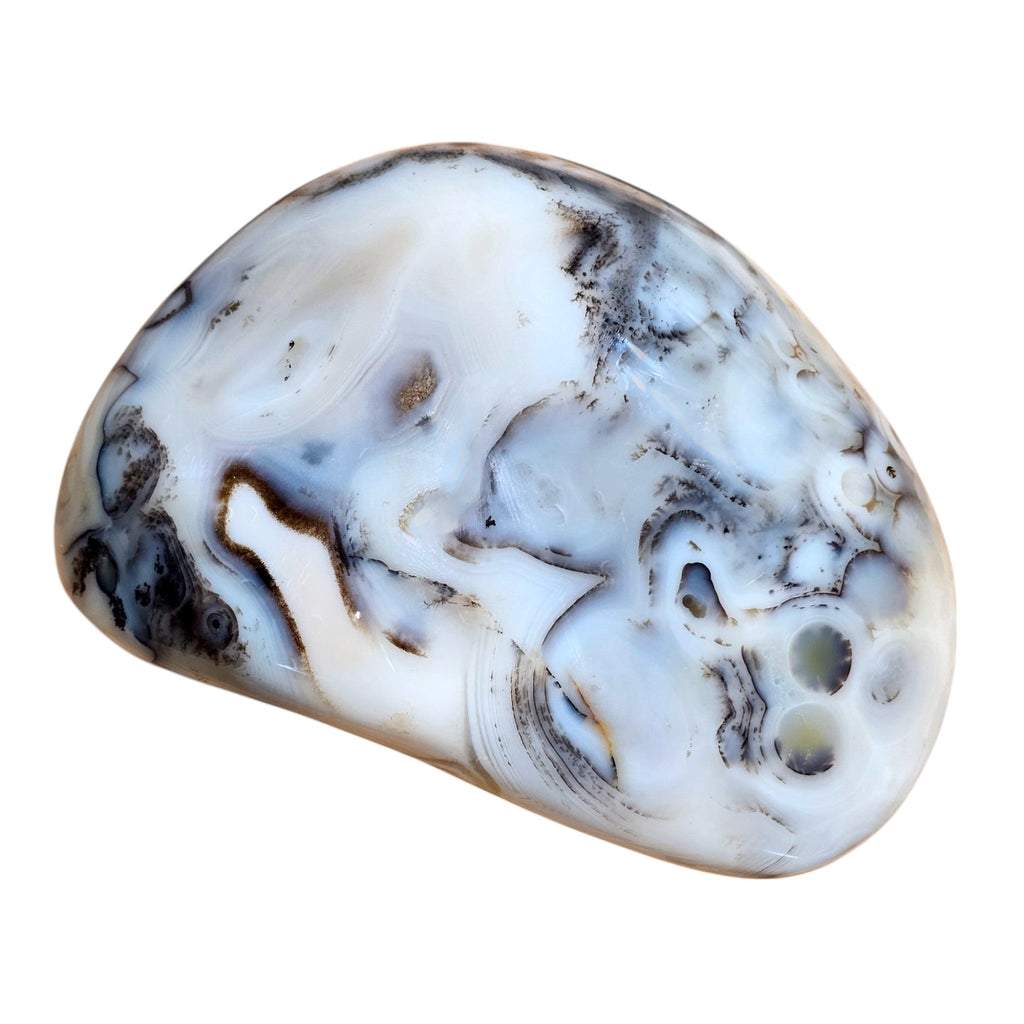 Large Polished Montana Moss Agate