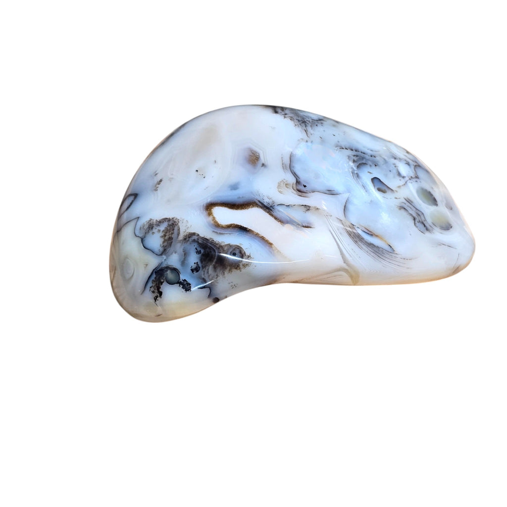 Large Polished Montana Moss Agate