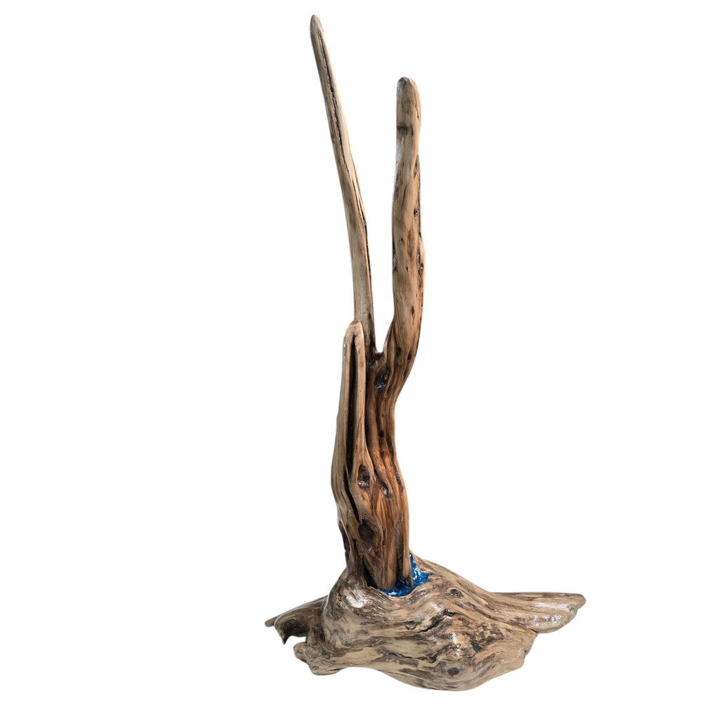 Artisan Handcrafted Polished Driftwood Counter Jewelry Display