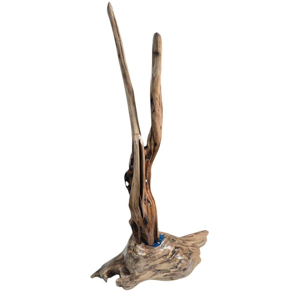 Artisan Handcrafted Polished Driftwood Counter Jewelry Display