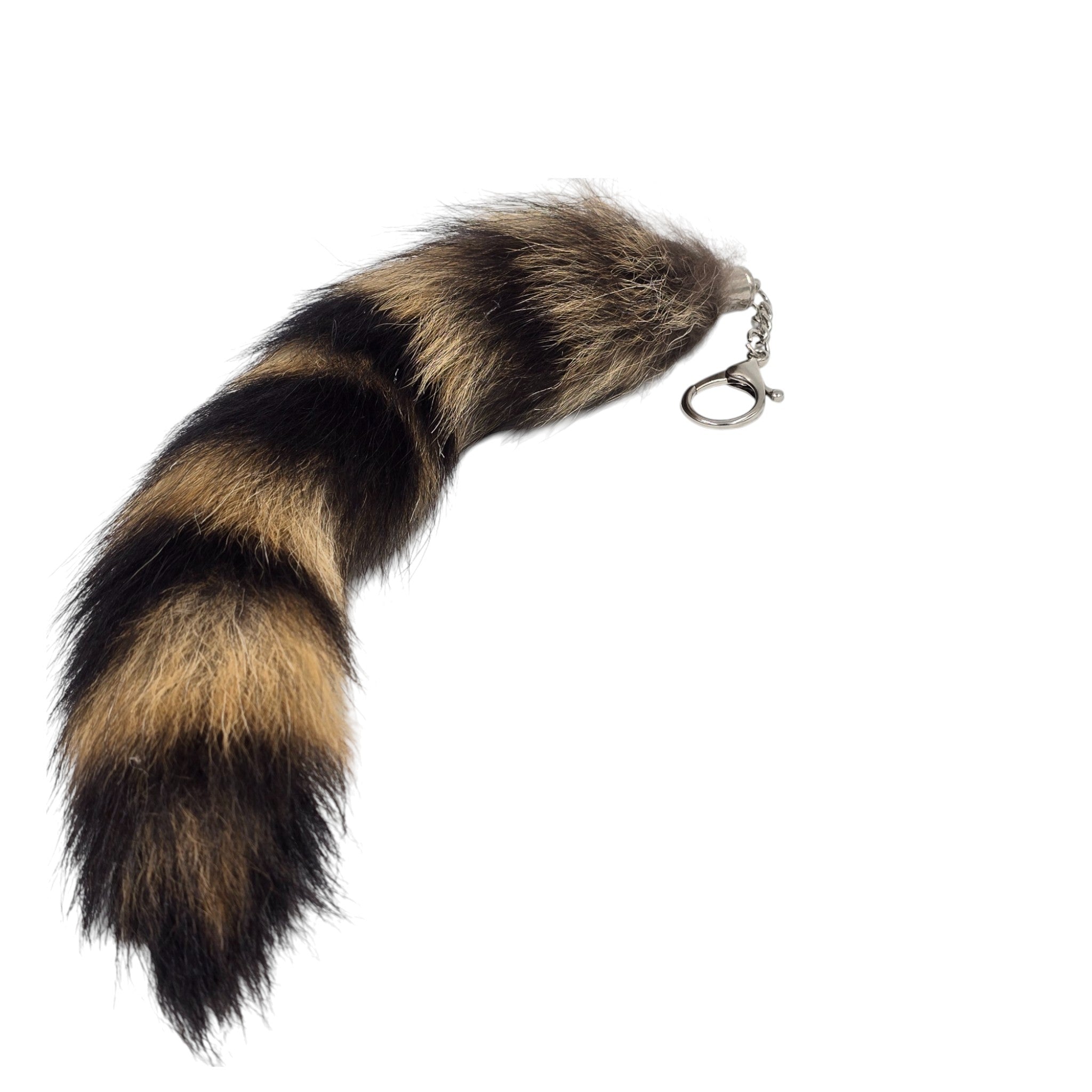 Authentic Raccoon Tail Keyring
