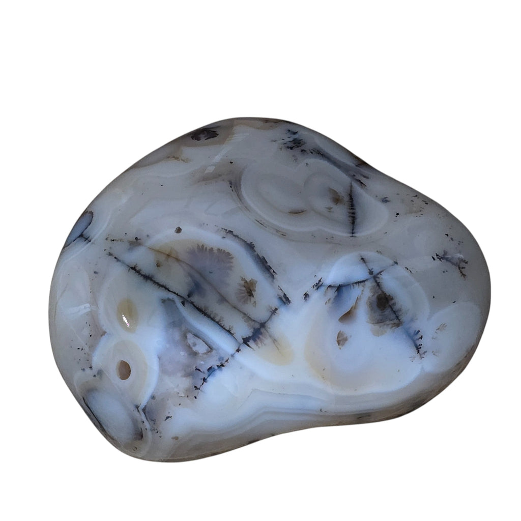 Large Polished Montana Moss Agate