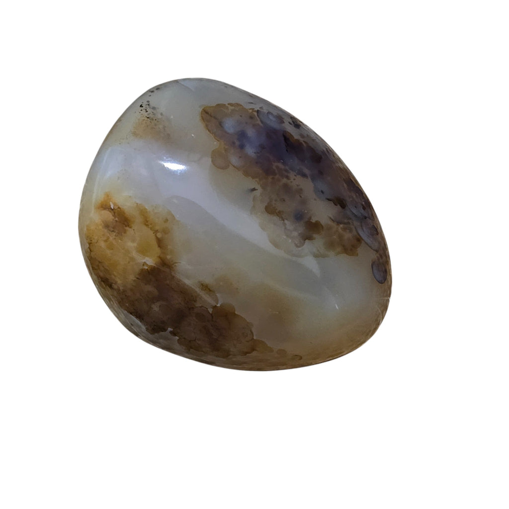 Polished Montana Moss Agate