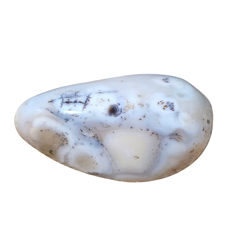 Polished Montana Moss Agate