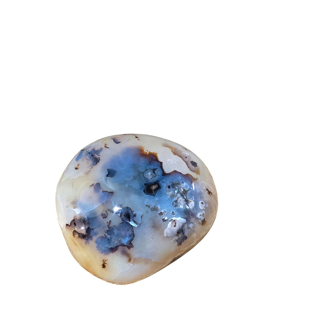 Polished Montana Moss Agate