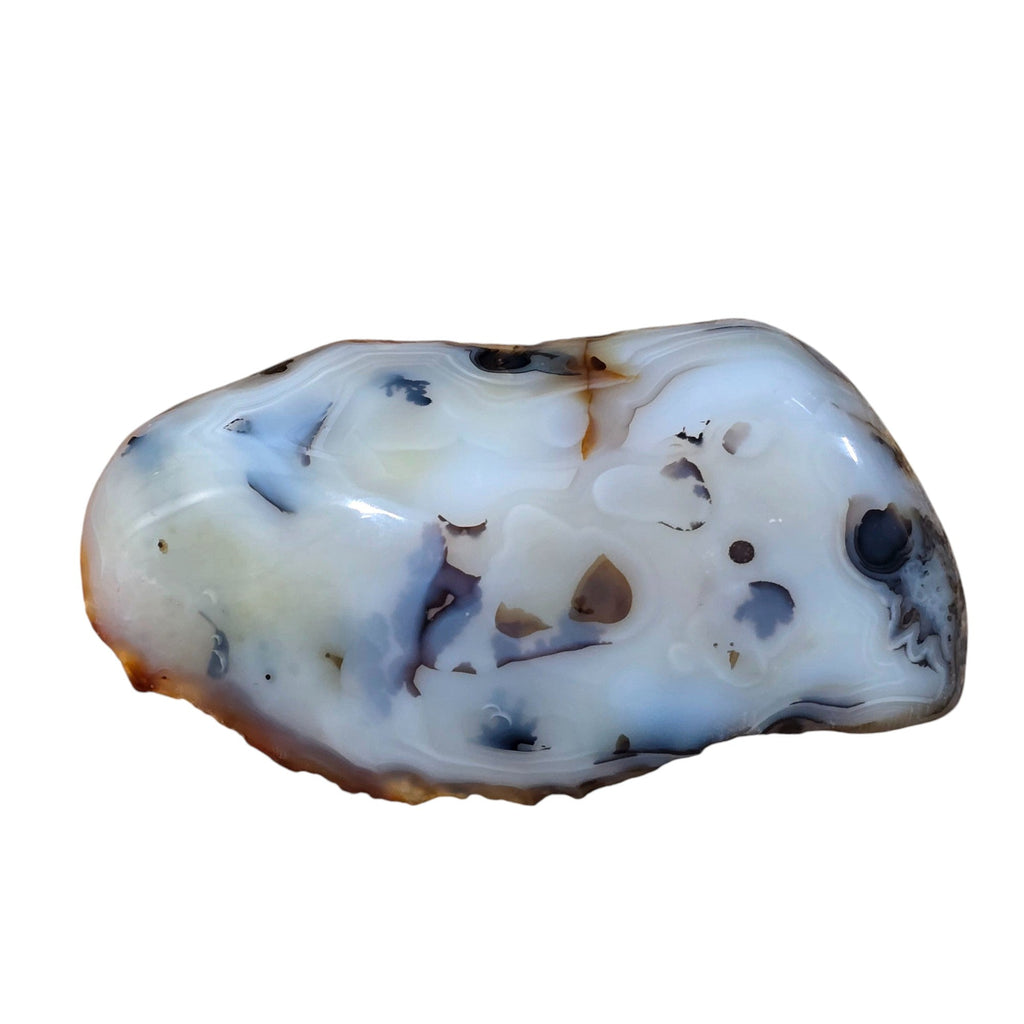 Polished Montana Moss Agate