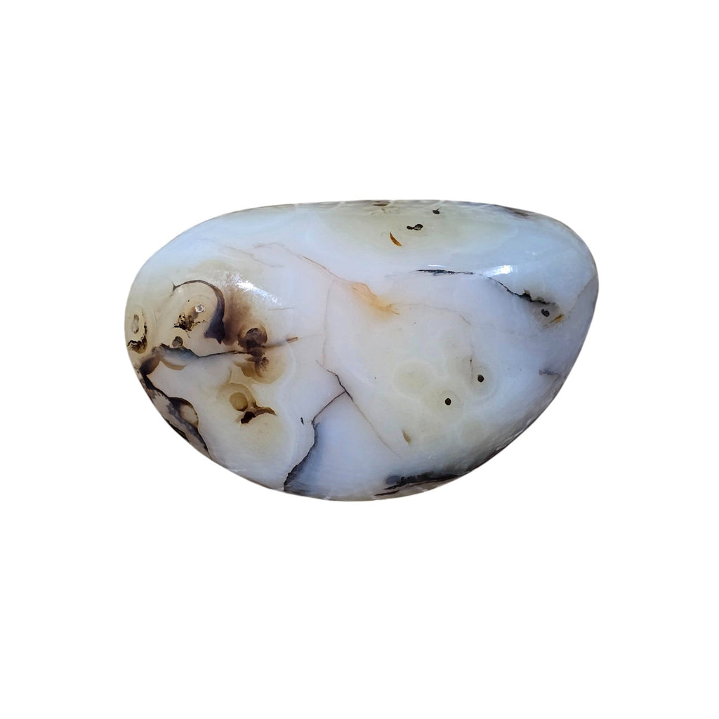 Polished Montana Moss Agate