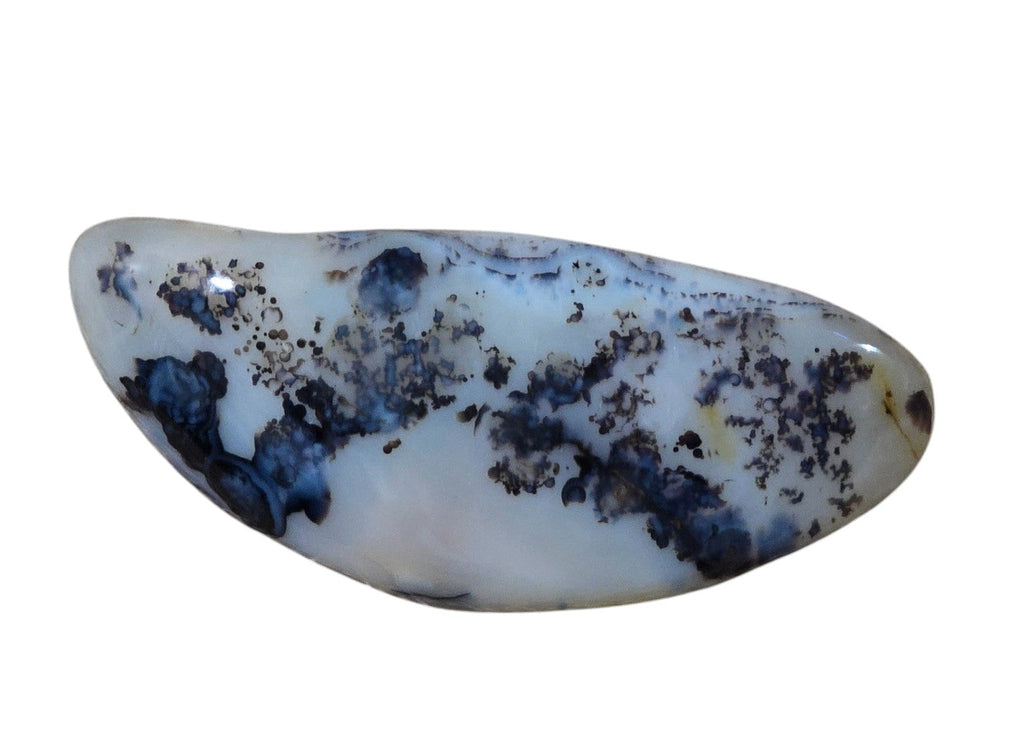 Polished Montana Moss Agate