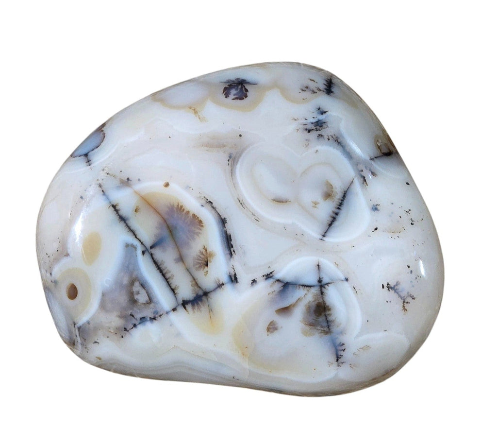 Large Polished Montana Moss Agate