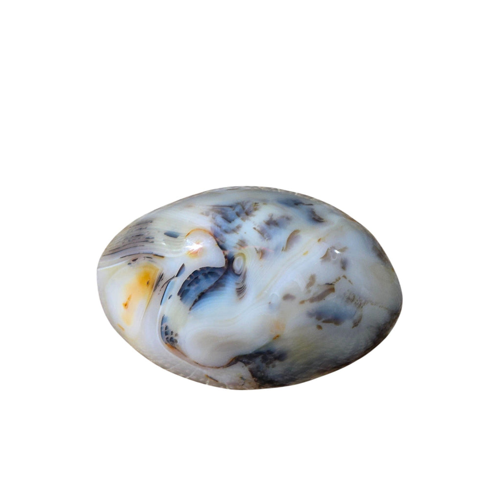 Large Polished Montana Moss Agate