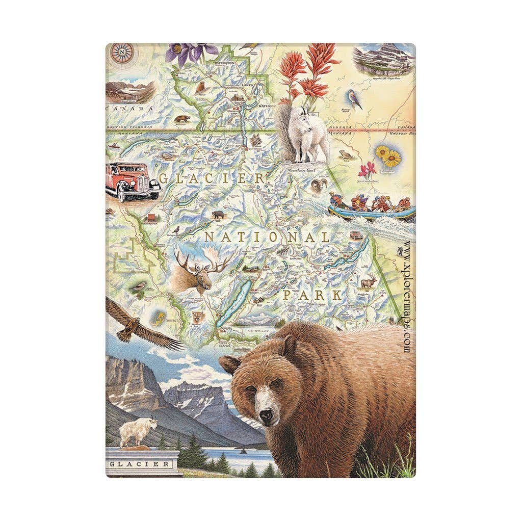 Glacier National Park Map Grizzly Magnet