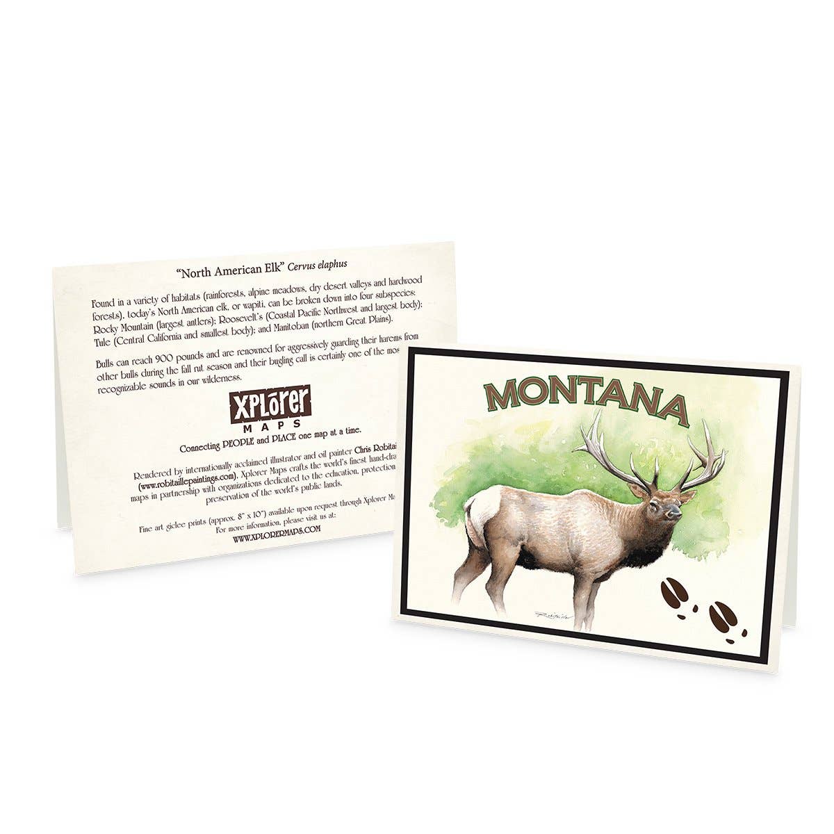 Montana -  Name Drop ELK Notecard