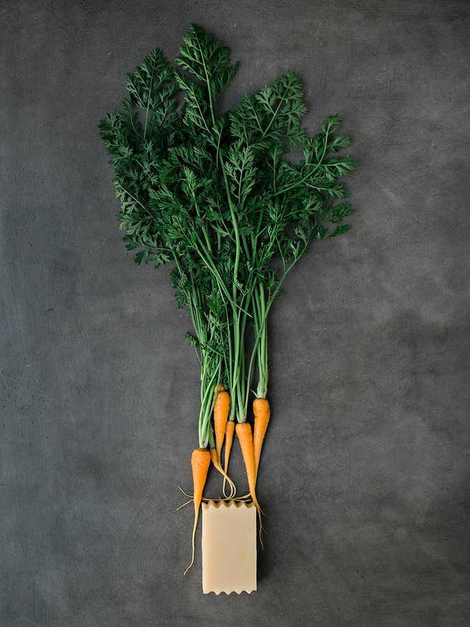 Goat Milk Soap - Carrot With Aloe