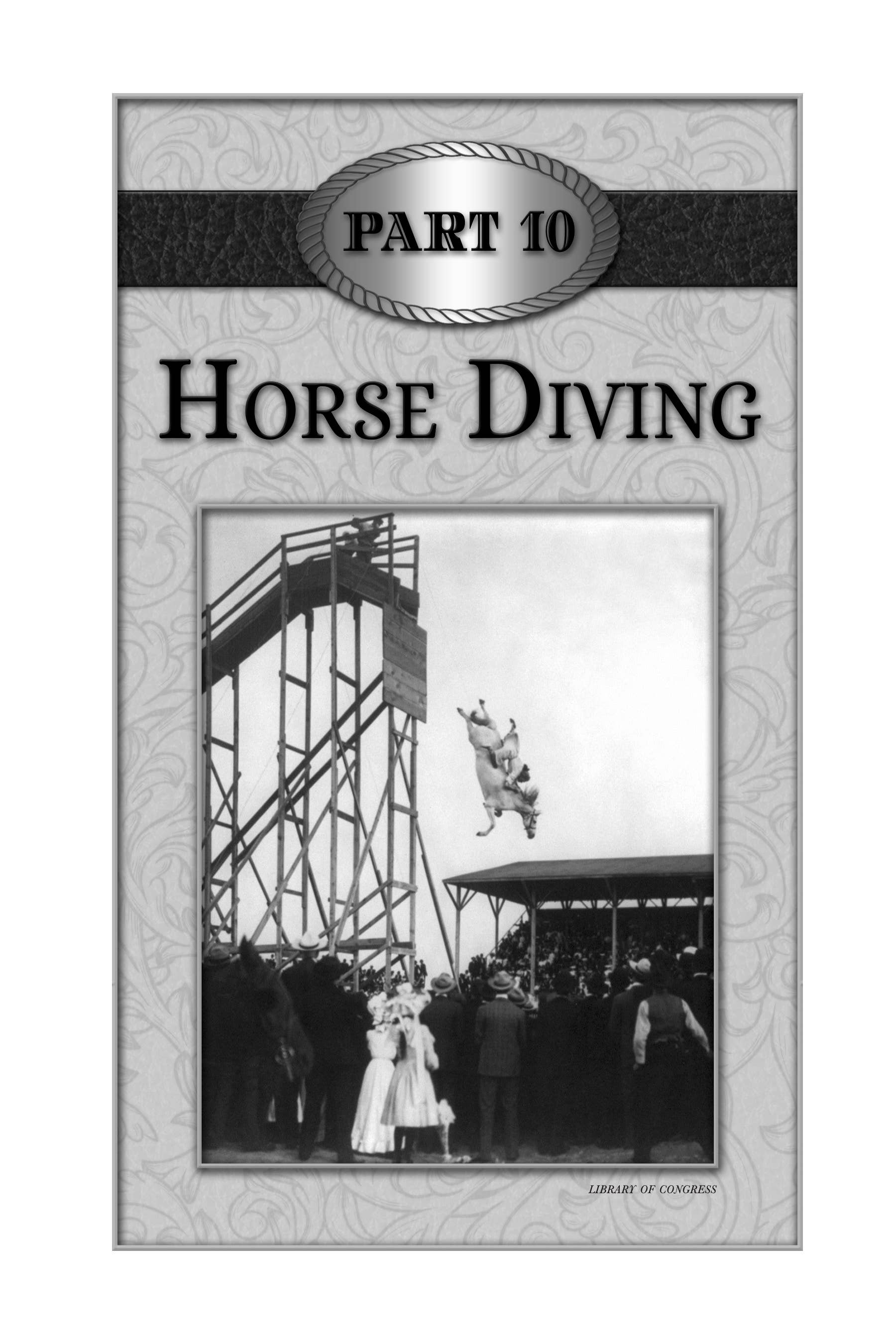 Along Came a Cowgirl Book