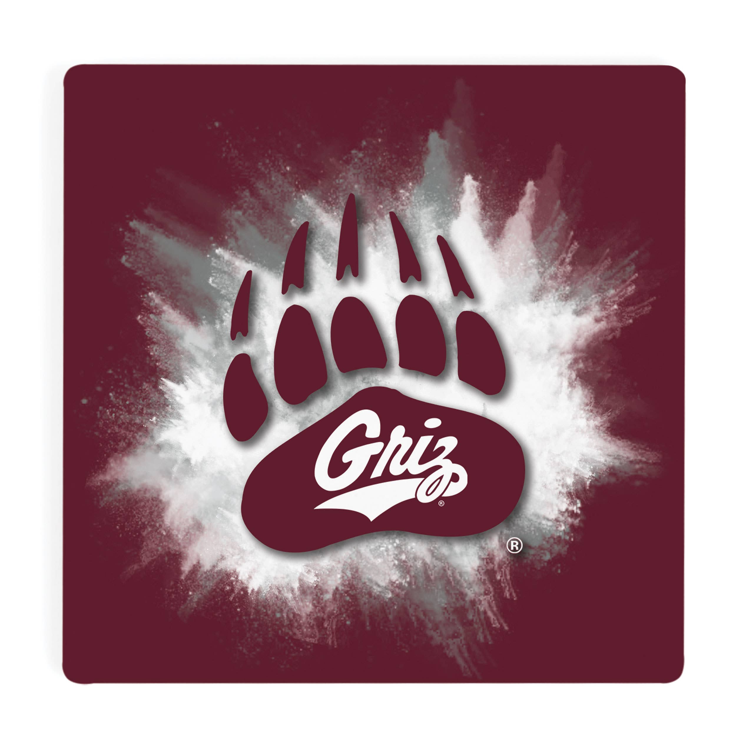 Montana Grizzlies Color Splash Coaster