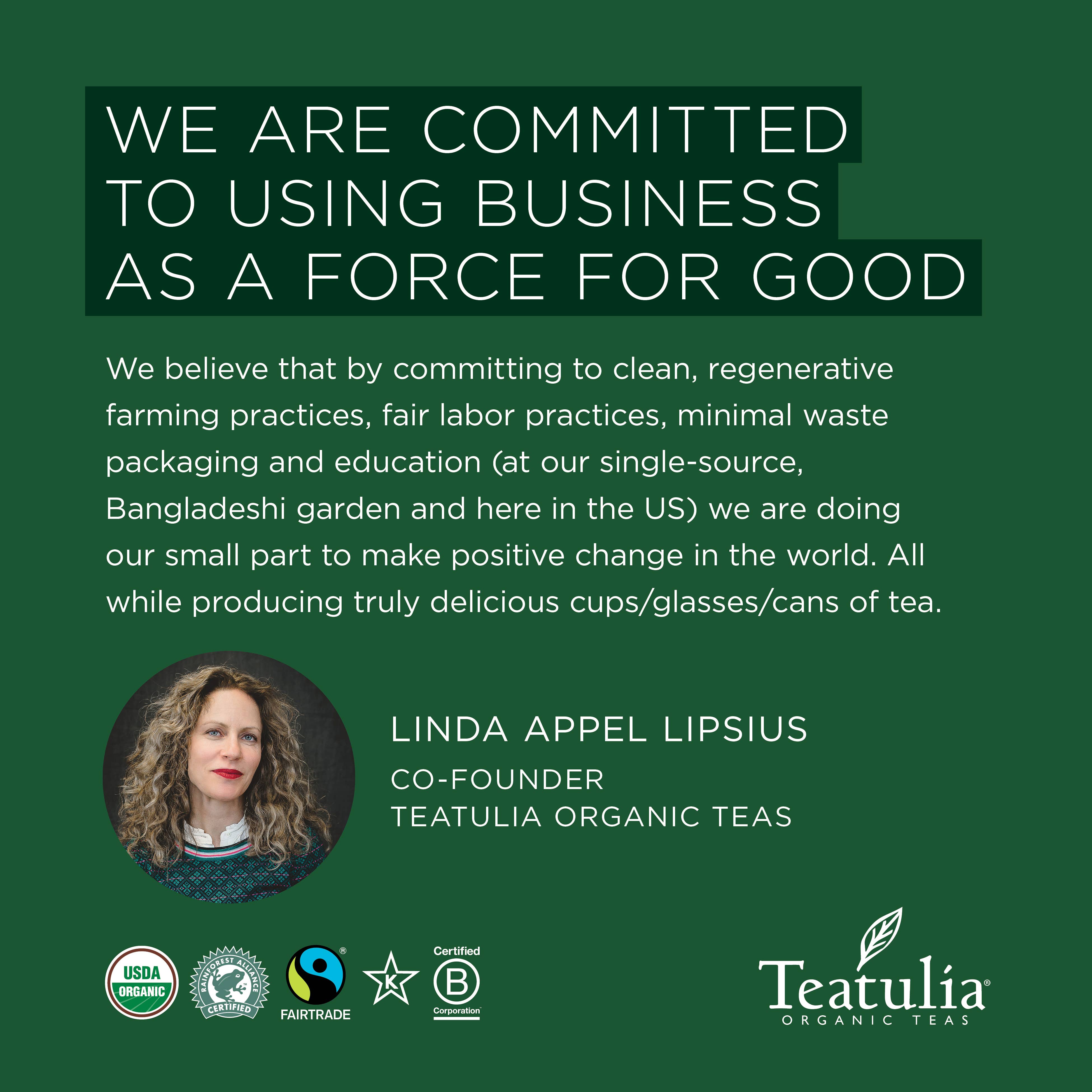 Hibiscus Berry Wrapped Organic Square Tea Bag