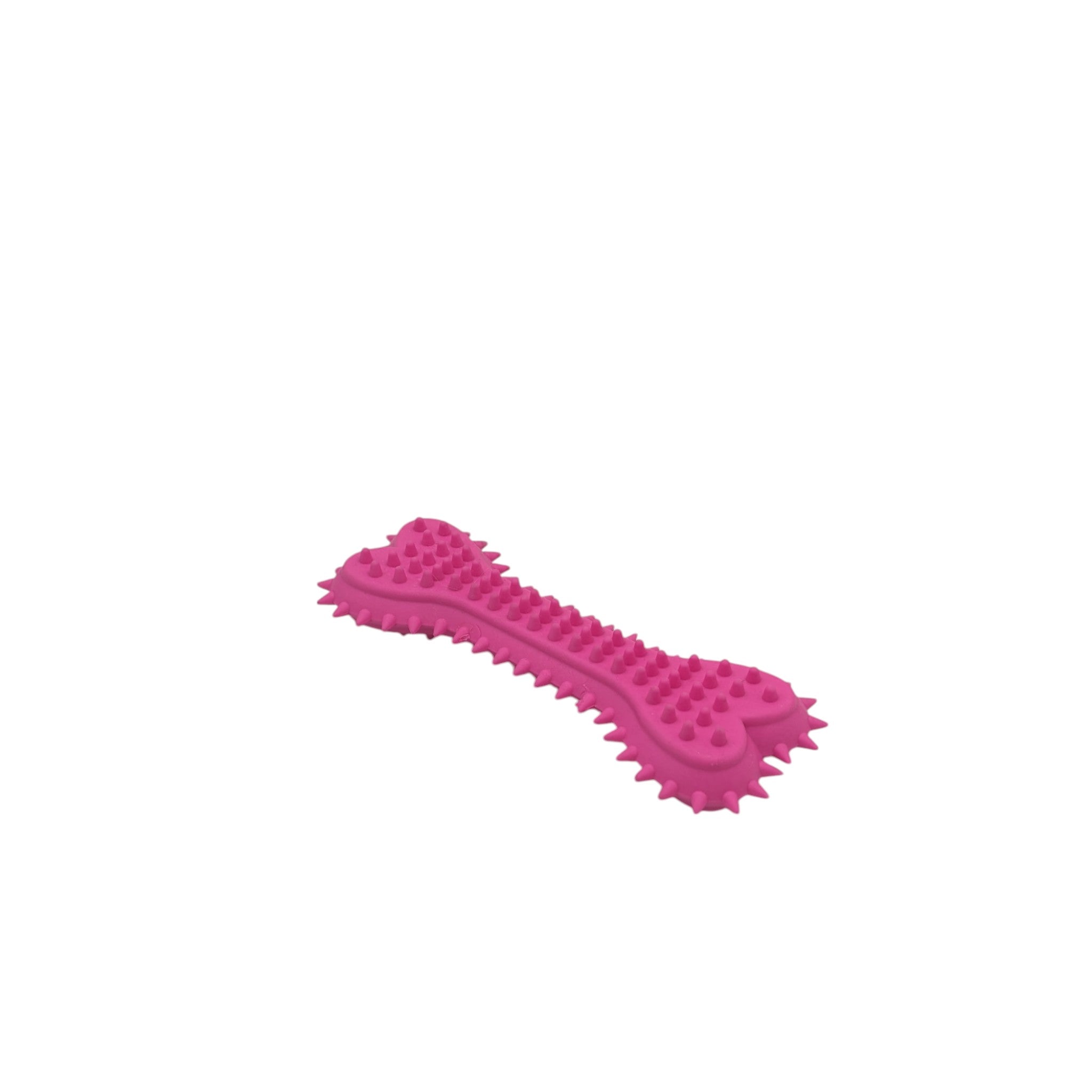 Pet Toothbrush Chew Toy
