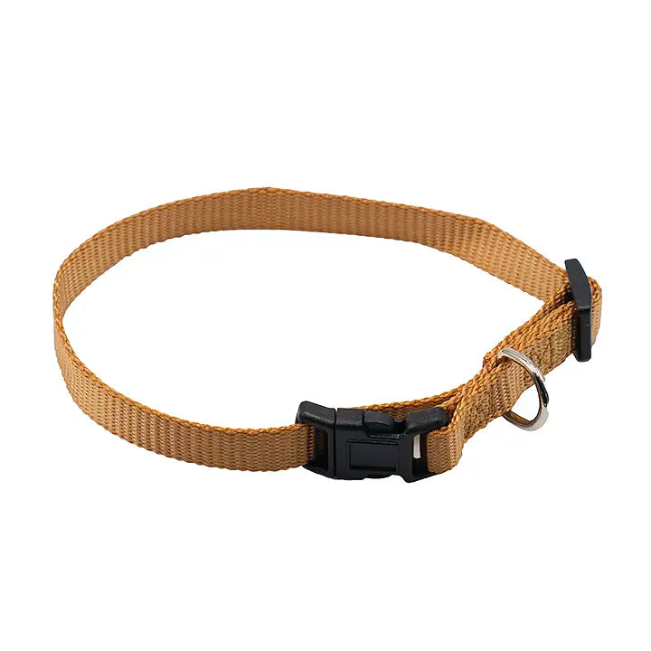Small Pet Collar