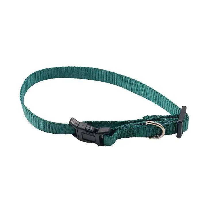 Small Pet Collar