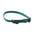 Small Pet Collar