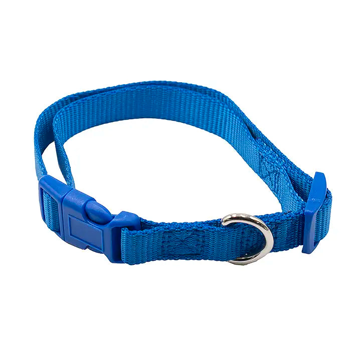 Medium Pet Collar
