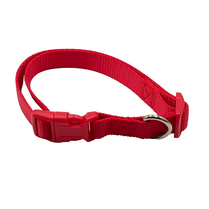 Medium Pet Collar