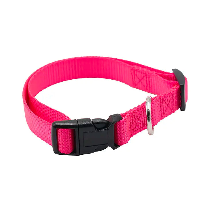 Medium Pet Collar
