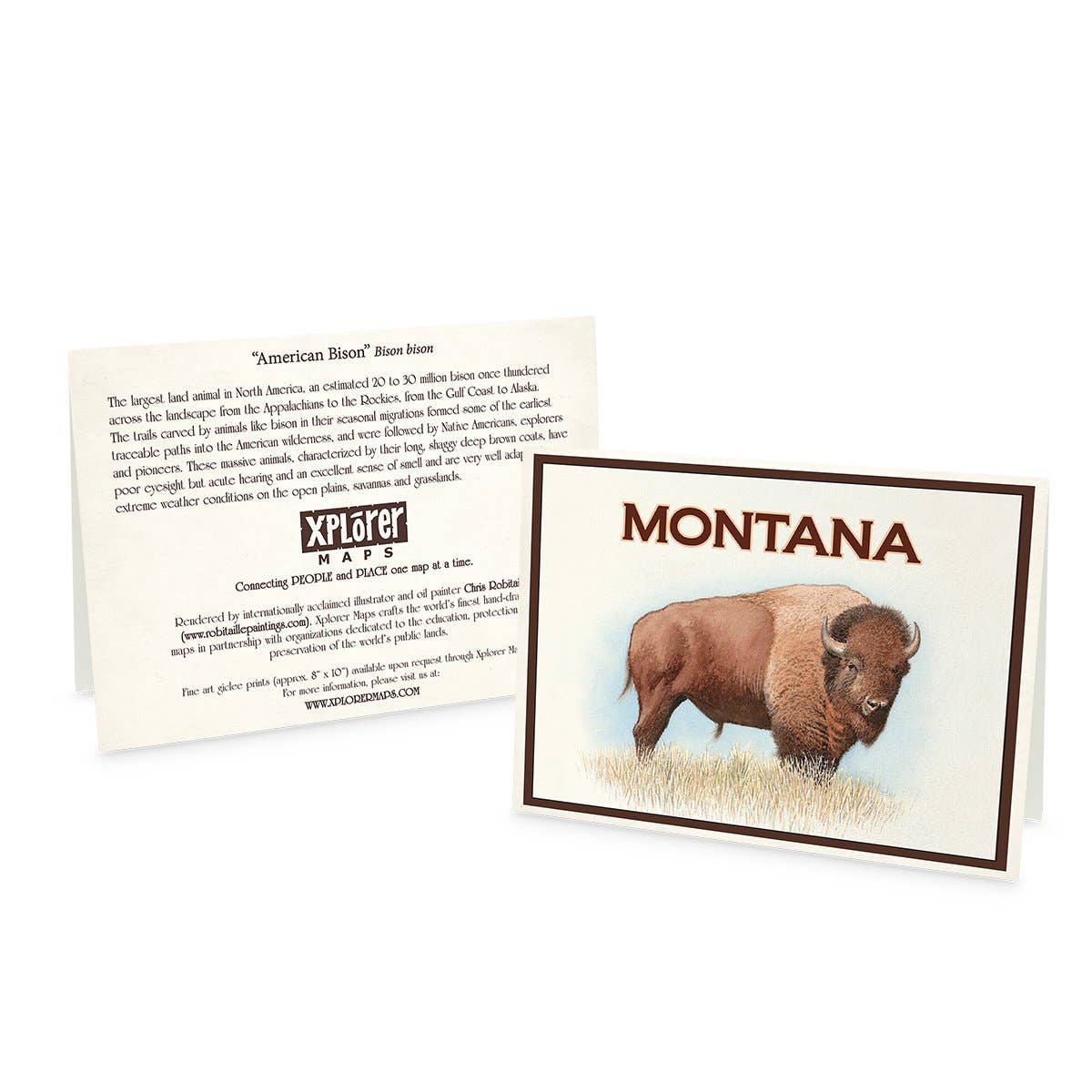 Montana - Name Drop Bison Notecard