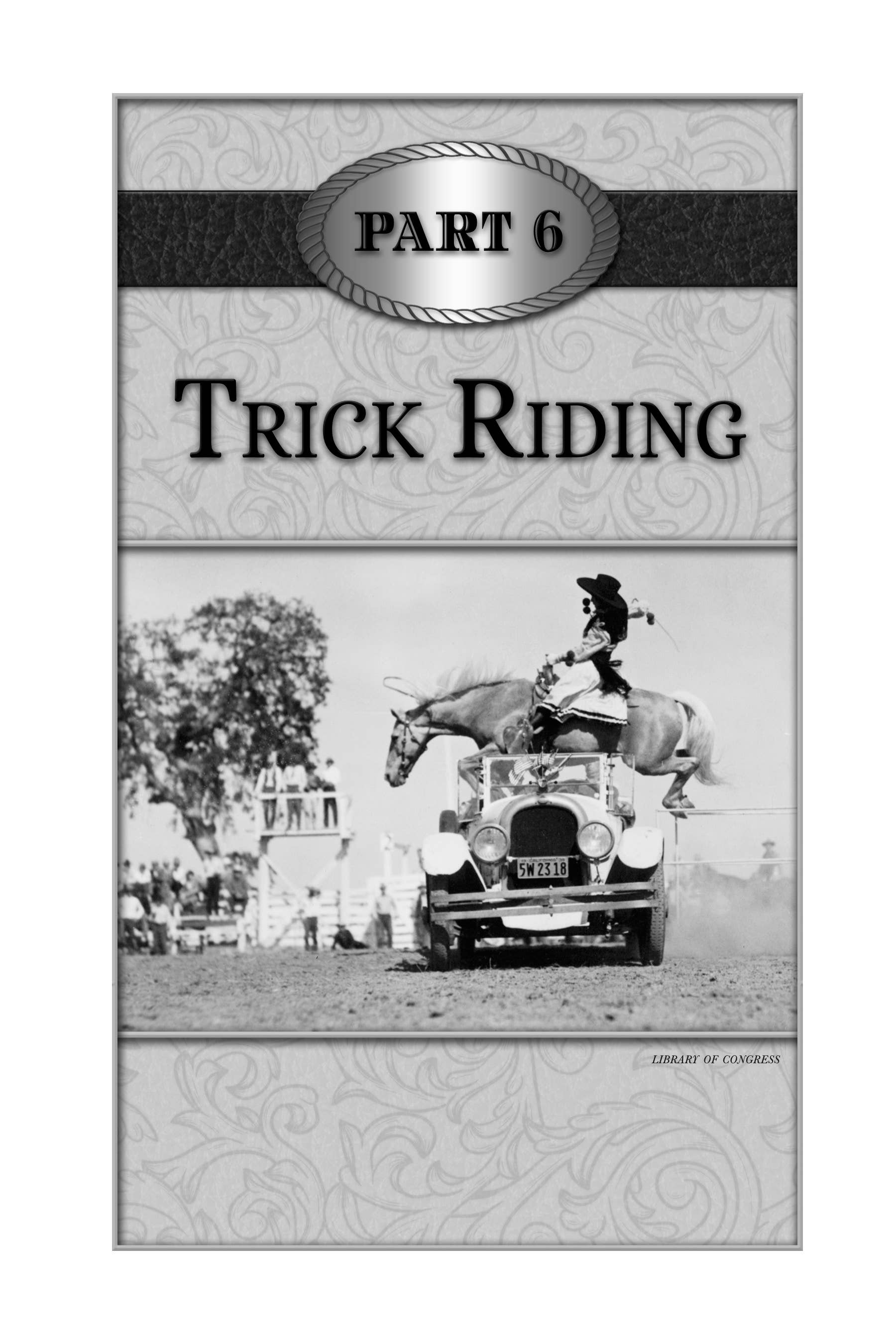 Along Came a Cowgirl Book