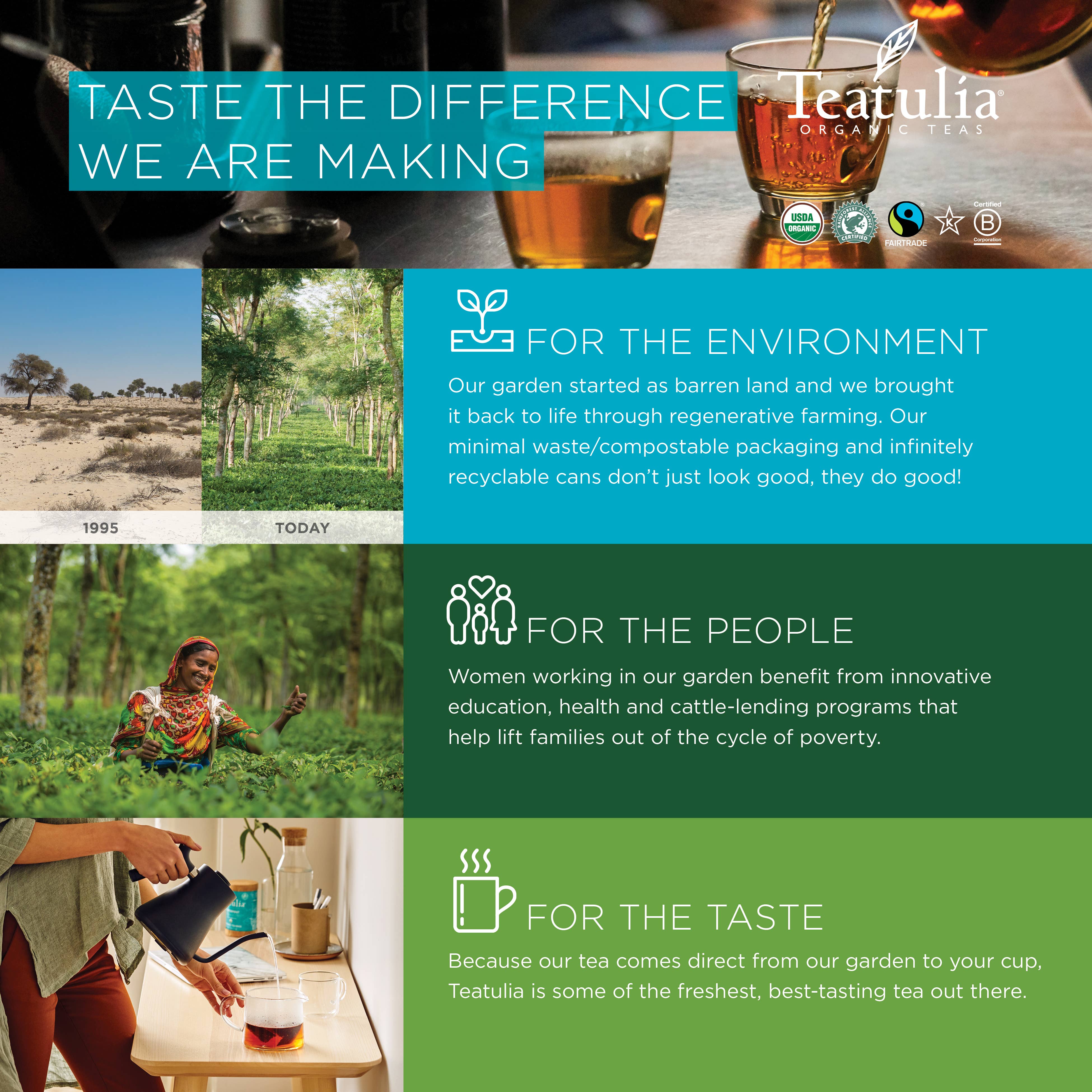 Earl Grey Wrapped Organic Square Tea Bag