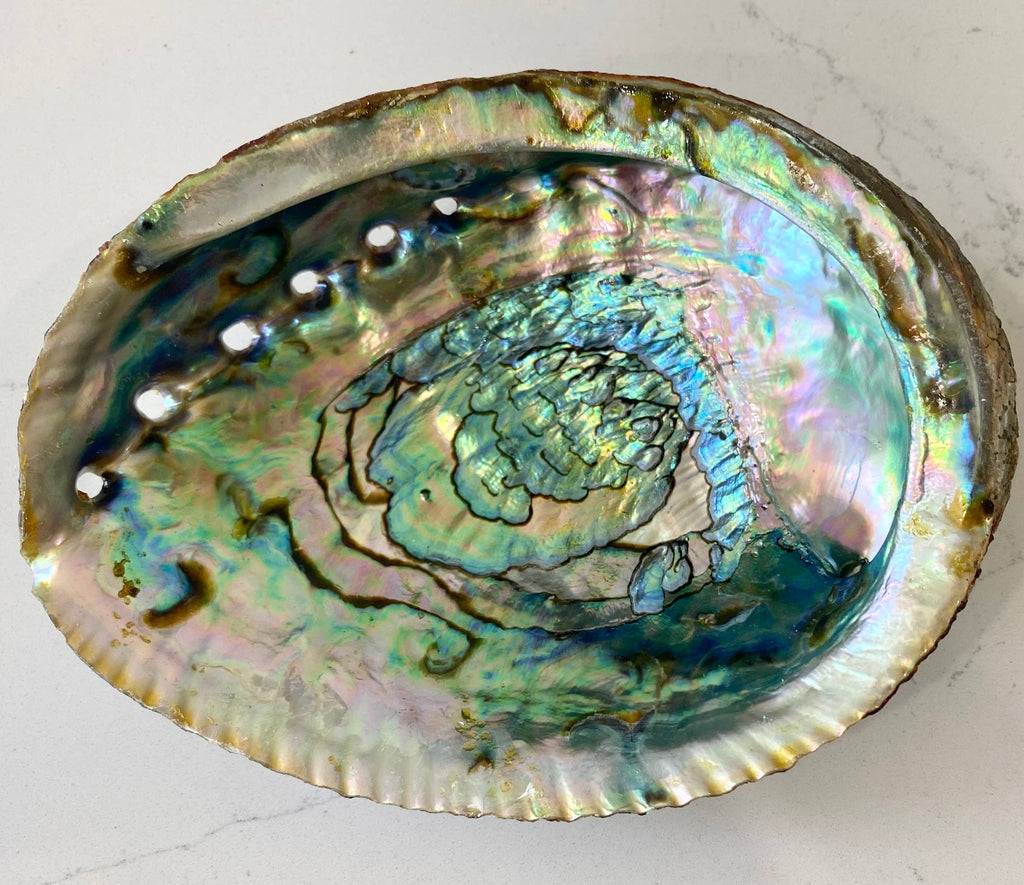 Abalone Shell Smudge Bowls (Large)