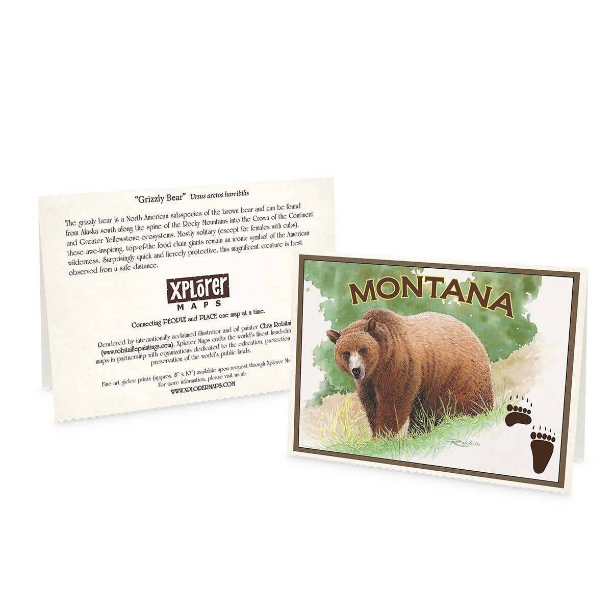 Montana -  Name Drop Grizzly Notecard